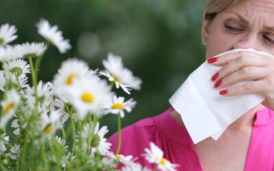 ¿Alergias en Invierno? Identifica las causas