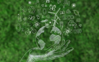 Cómo hacer tu hogar más sostenible y saludable