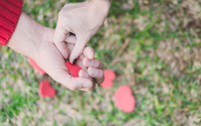 Día nacional del trasplante en España