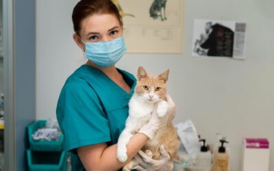 Día mundial del veterinario